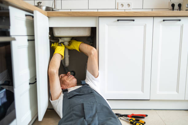 Best Plumbing Inspections & Maintenance in Roseau, MN